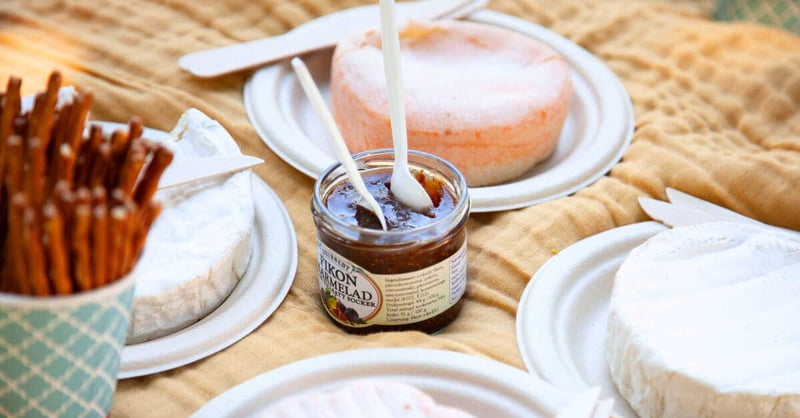 A close-up of a picnic setup featuring soft cheeses on paper plates, a jar of fig marmalade with spoons, and a cup filled with pretzel sticks, all arranged on a mustard-colored cloth